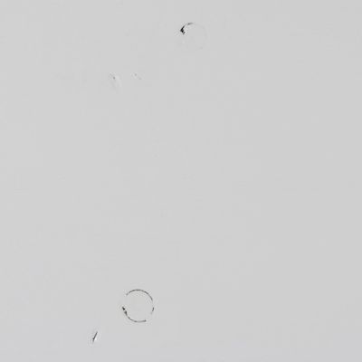 WOOOD Isabel Brocante Vitrinskåp i Vitmålad Furu