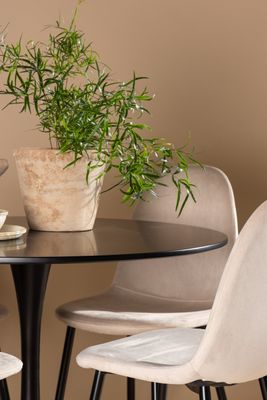 Venture Home Matgrupp Glade med 4st Matstolar Polar