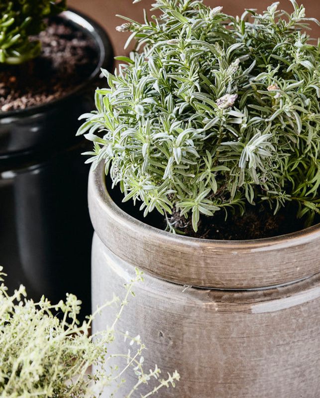 Nordal ISA kruka, L, ljusgrå glasyr