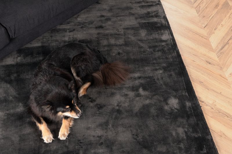 Venture Home Indra Viskosmatta