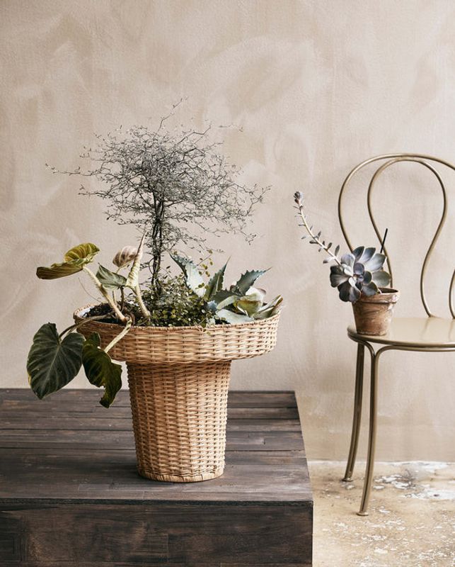 Nordal LAURIE Blomkruksställ i Rotting - Natur