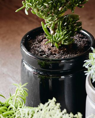 BbUv9HJUwIRbJOc1765682614