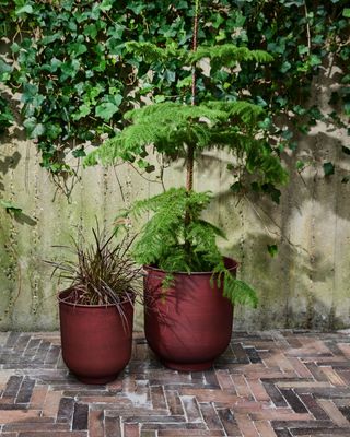 House Doctor Vig Kruka Bränd Henna Burnt