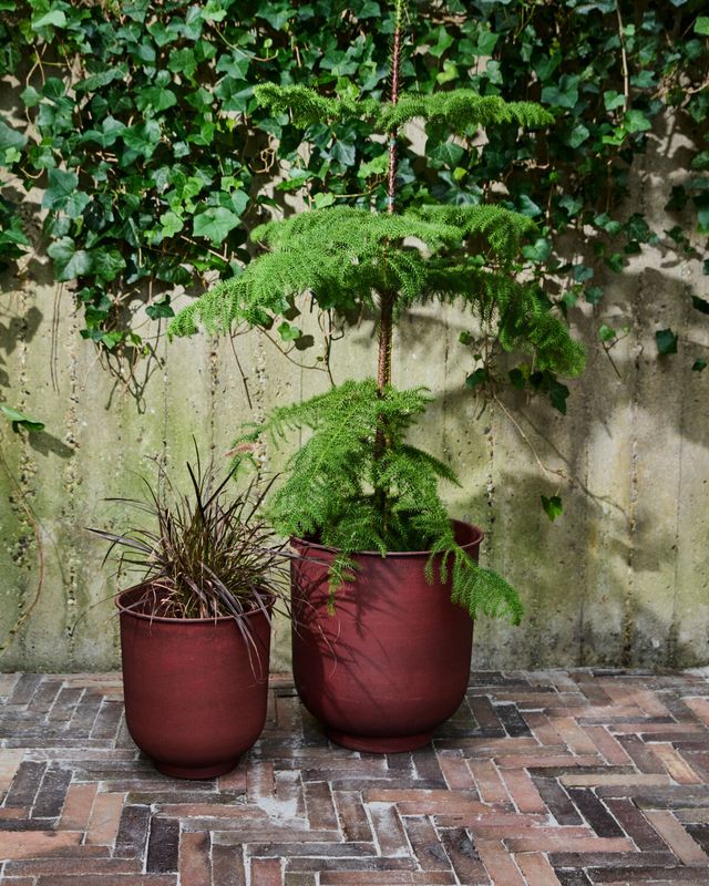 House Doctor Vig Kruka Bränd Henna Burnt