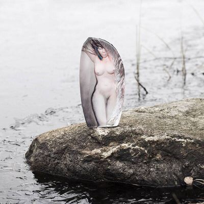 23056835-origpic-a5841e