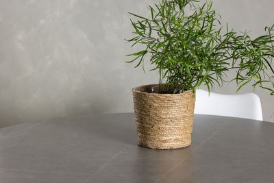 Venture Home Piazza & Zeno Runt Matbord ⌀120 Grå + 4 st Matstolar Vit