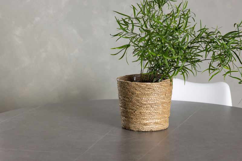 Venture Home Piazza & Zeno Runt Matbord ⌀120 Grå + 4 st Matstolar Vit