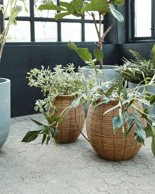 House Doctor Boum Kruka Natur