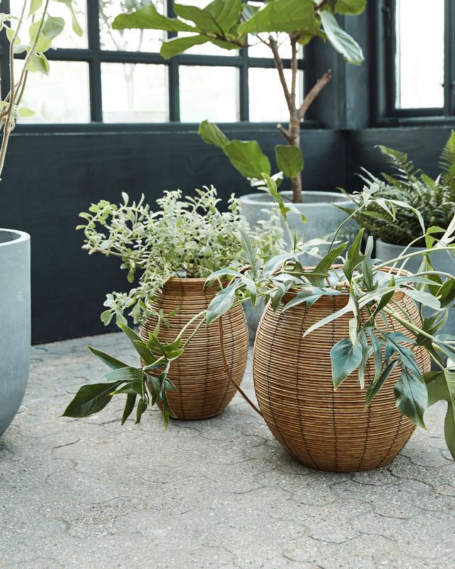 House Doctor Boum Kruka Natur