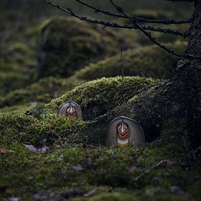 23056538-origpic-ddbf6d