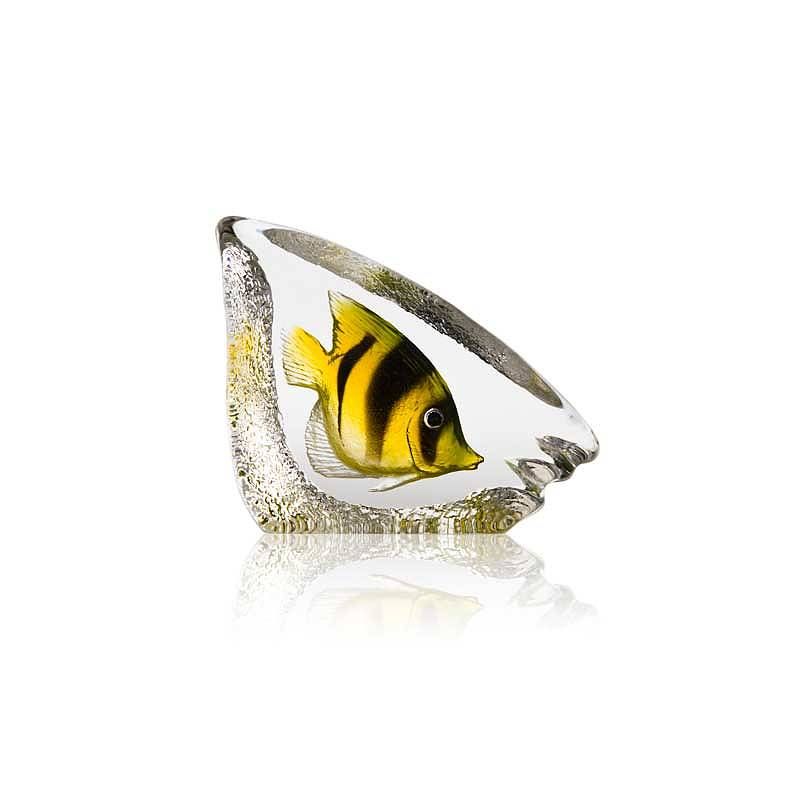 Målerås Korallfisk, grön