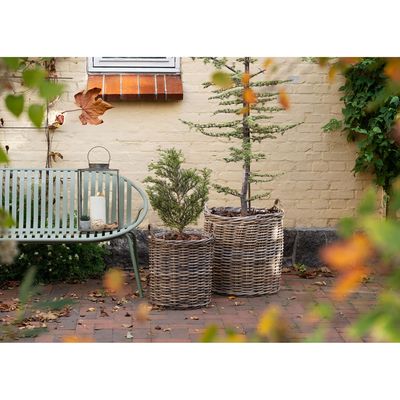 House Nordic Indo Korgset av 2