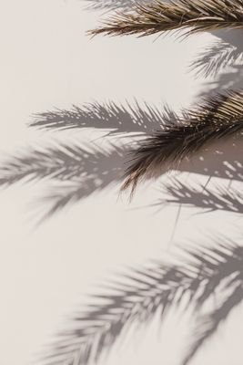 Venture Home Shadow Poster Beige