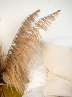 HJABBjLJEsL5fyy1771453896