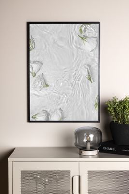 Venture Home White Roses Poster Vit