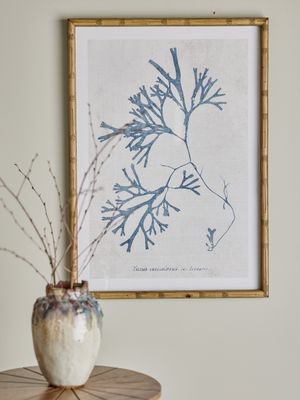 Bloomingville Sumner Illustration med Ram, Blå, Granträ