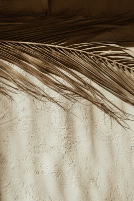 IoLReAGxHFKCFp81771453821