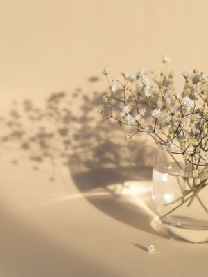 Il8YIqgTUeSYgJx1771453821