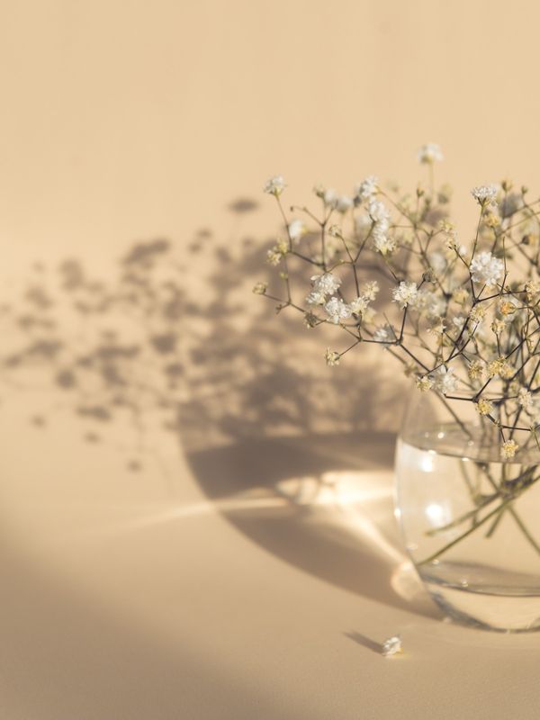 Venture Home White Flowers Poster Beige