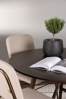 Venture Home Matgrupp Kaseindon med stolarna Seda