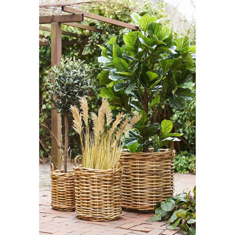 House Nordic Burton Korgar