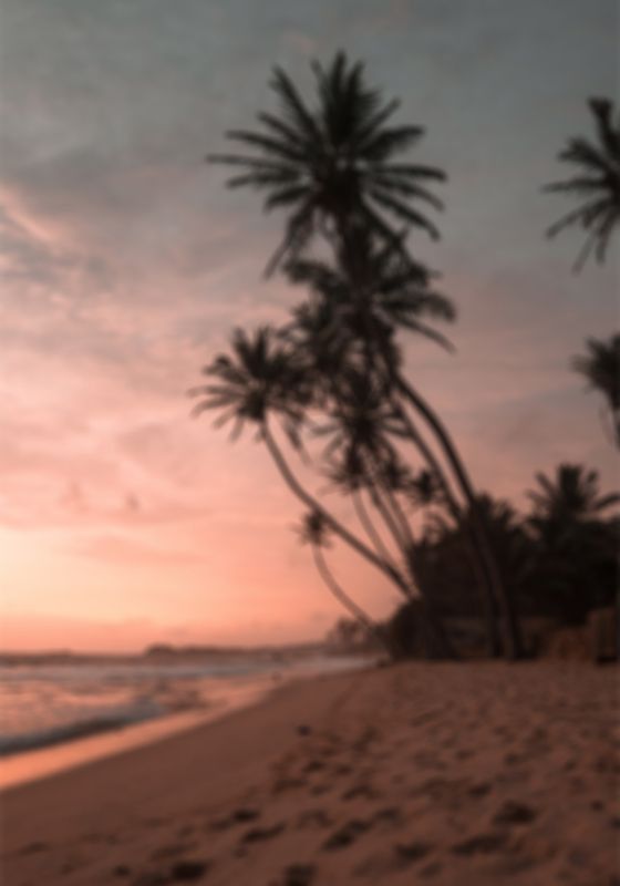 Venture Home Summer Poster Rosa