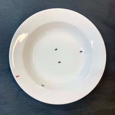 Gustavsberg FEM MYROR, Tallrik 23 cm, djup