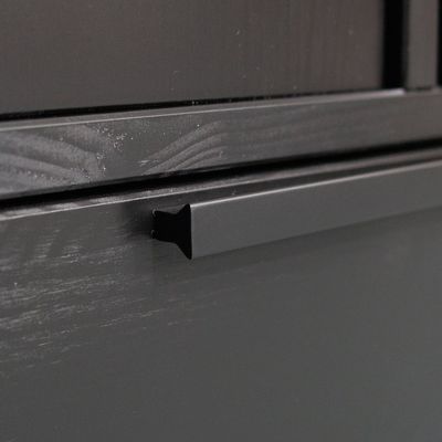 WOOOD Adam 2-dörrars Skåp i Svart Furu