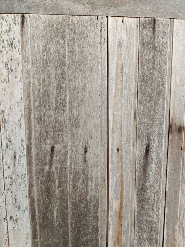 Venture Home Wooden wall Poster Grå