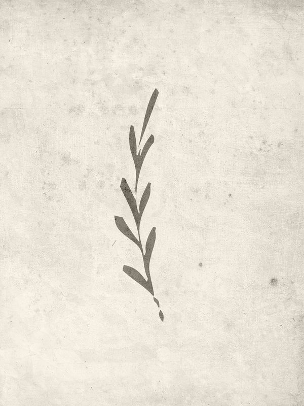 Venture Home Autumn leaf Poster Beige