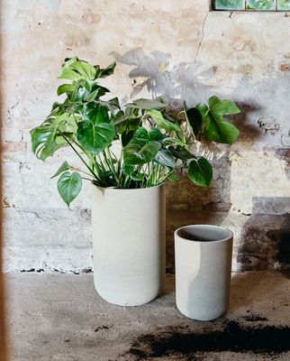 OvnPb5ofq9embeh1765676917