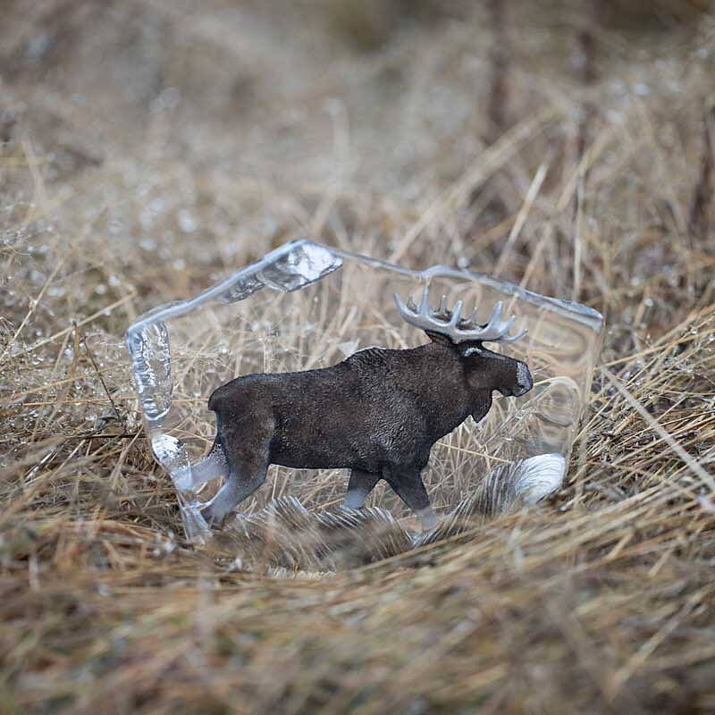 Målerås Älg Kristallblock