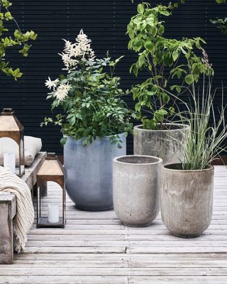 House Doctor Pho Blomkruka Grå/Blå