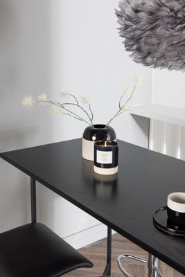 Venture Home Barset Rax med stolarna Jonna