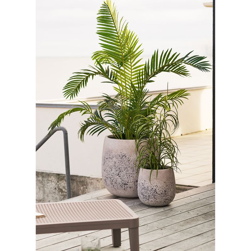 House Nordic Gräs Växt Grön