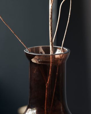 House Doctor Tinka Vas Brun