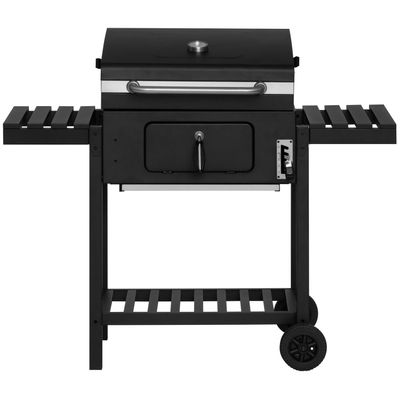 Mustang Kolgrill Avalon 3