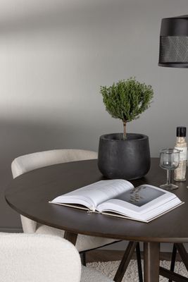 Venture Home Matgrupp Kaseindon med stolarna Edina