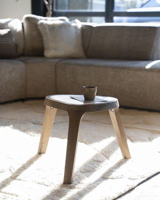 Eleonora Sidobord Fred Brun