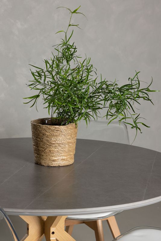 Venture Home Matgrupp Piazza med stolarna Edvin