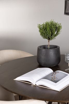 Venture Home Matgrupp Kaseindon med Berit Stolar