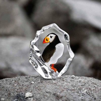 SpKei1MmWmlkgZ11763309456