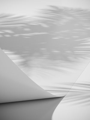 QDP8g0IWibP6S7z1771453840