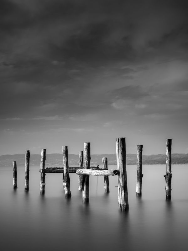 Venture Home Ocean Poster Grå