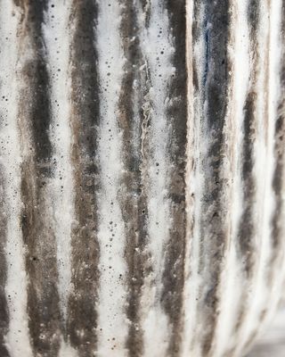 House Doctor Pharao Blomkruka Grå/Brun