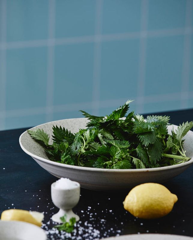 Nordal GRAINY Salladstallrik, Sand