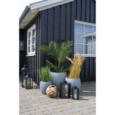 House Nordic Areca Palm Konstväxt