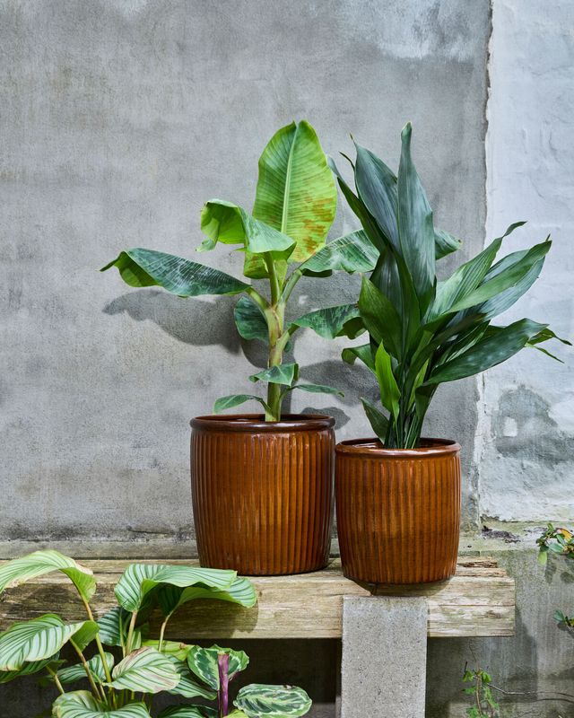 House Doctor Groove Kruka Brun