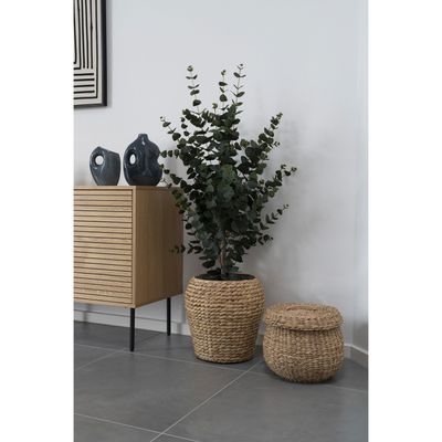House Nordic Eucalyptus Tree Artificiellt Grön 120 cm