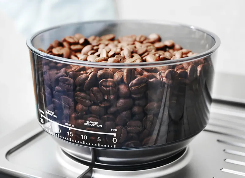 Gastroback Design 42616 Barista Espressomaskin Pro